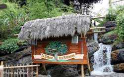 La cabane des Robinson