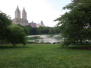 Central Park new-york