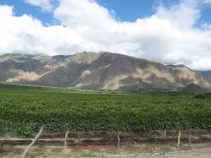 Cafayate mountains