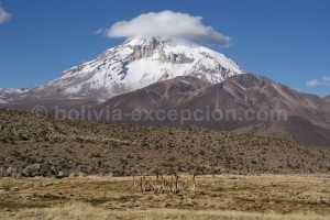 Parc-national-Sajama