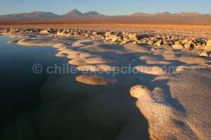 Salar de Atacama