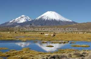 Parc national Lauca