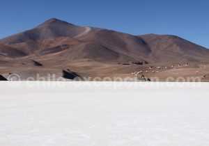 Parc Nevado tres Cruces