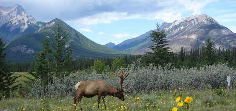 parc canada