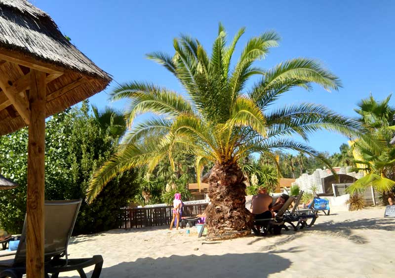 plage caraibes les vagues sandaya