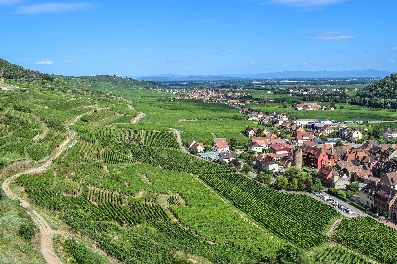 route des vins colmar