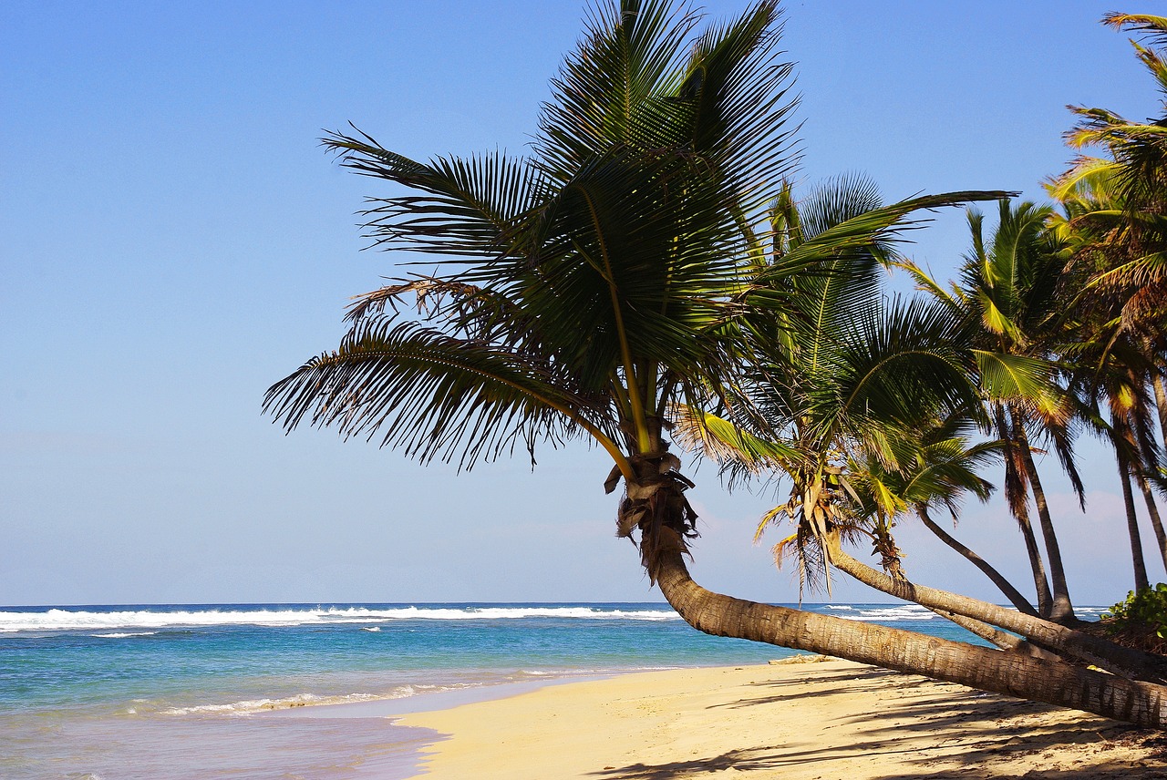 Republique Dominicaine