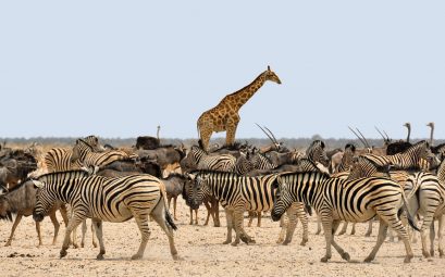 namibie que-faire