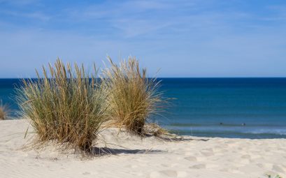 Que faire à Biscarrosse ? Idées activités à ne pas manquer