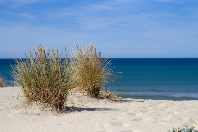 Que faire à Biscarrosse ? Idées activités à ne pas manquer